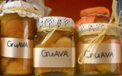 Guava slices in jar, different sizes